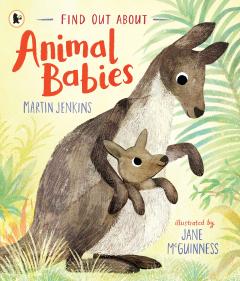 Find Out About: Animal Babies