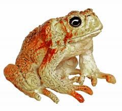 Tub cu figurine - Venomous Creatures