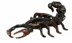 Tub cu figurine - Venomous Creatures