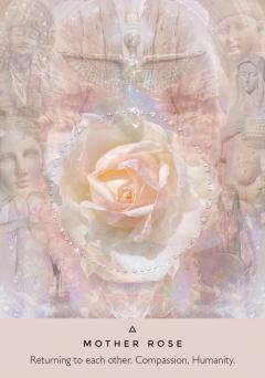 The Rose Oracle (cards)