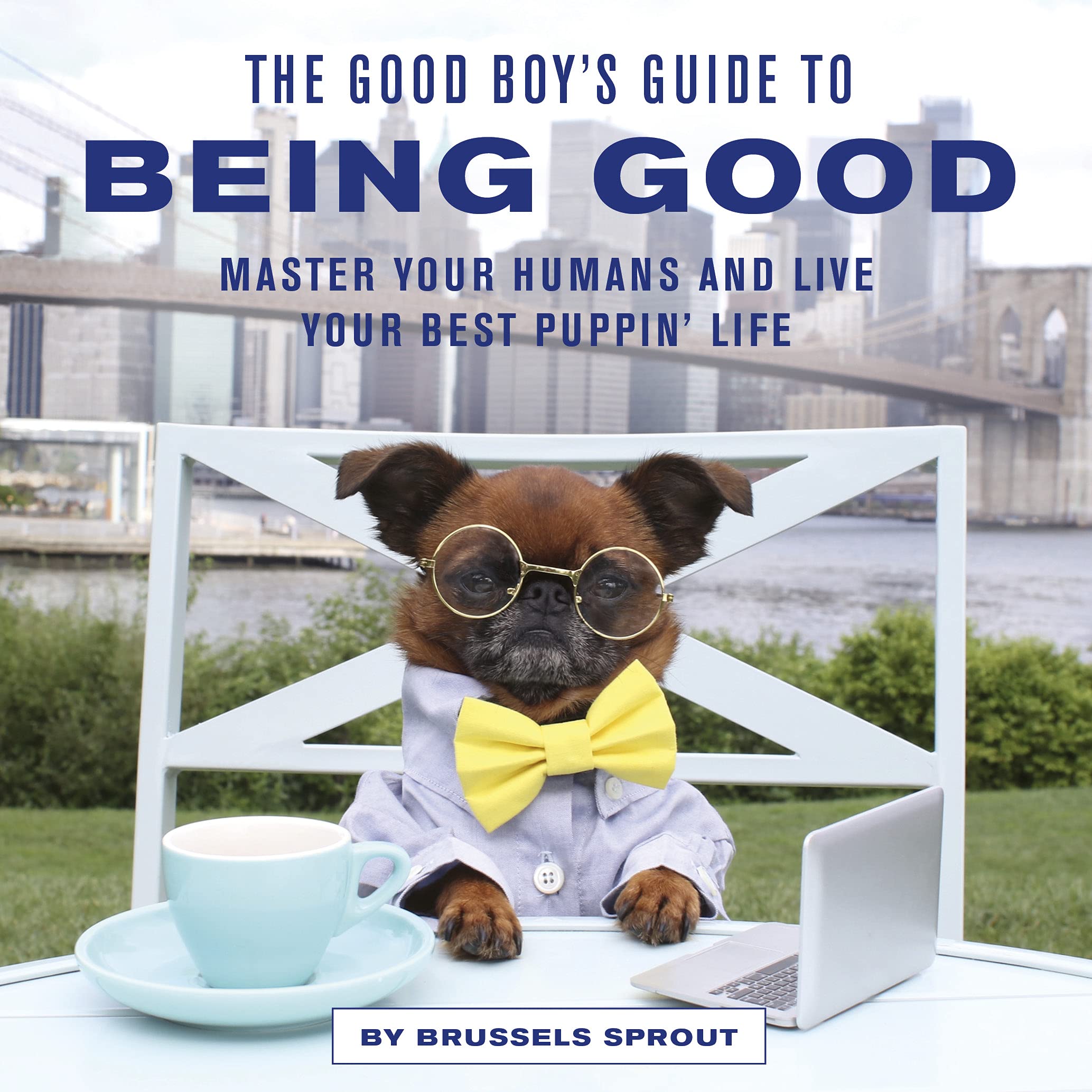 The Good Boy&#039;s Guide to Being Good
