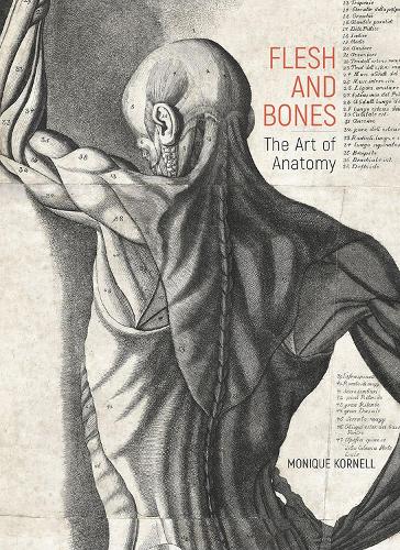 Flesh and Bones - The Art of Anatomy - Monique Kornell