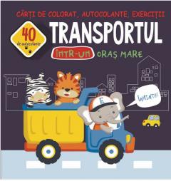 Transportul intr-un oras mare