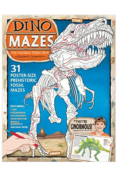 Dinomazes: The Colossal Fossil Book
