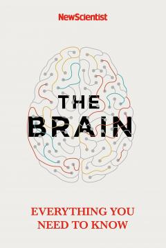 The Brain