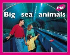 Coperta cărții Big sea animals