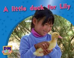 Coperta cărții A little duck for Lily