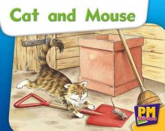 Coperta cărții Cat and Mouse