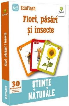 Flori, pasari si insecte