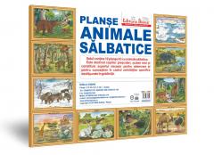 Animale salbatice - Set 10 planse A3