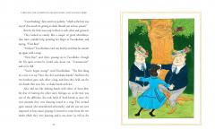 Through the Looking-Glass and What Alice Found There