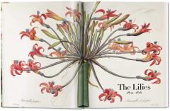 Redoute - The Book of Flowers