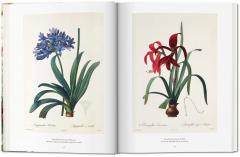 Redoute - The Book of Flowers