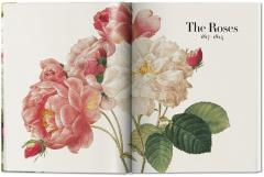 Redoute - The Book of Flowers