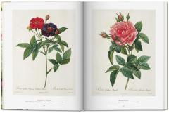 Redoute - The Book of Flowers