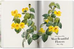 Redoute - The Book of Flowers