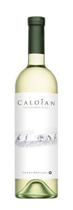 Vin alb - Crama Oprisor, Caloian - Sauvignon Blanc, 2018