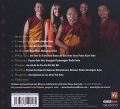 Tibetan Mantras for Turbulent Times