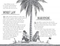 Horrible Histories: Pirates