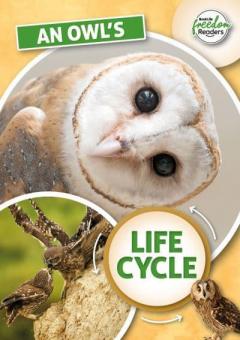 Coperta cărții An Owl's Life Cycle