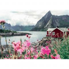 Puzzle 1000 piese - Scandinavian Places - Lofoten Norvegia