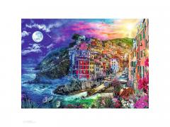 Puzzle 1040 piese - Spiral - Portul Magic