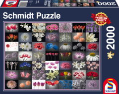 Puzzle 2000 piese - Floral Greeting