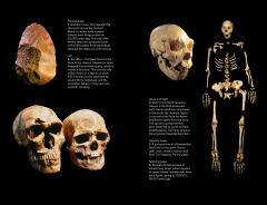 The Neanderthals Rediscovered