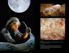 The Neanderthals Rediscovered