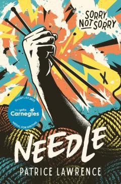 Coperta cărții Needle