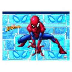 Set desen - Marvel Spider-Man - Surprise