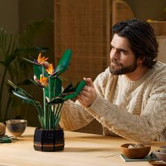 LEGO Creator - Bird of Paradise (10289)