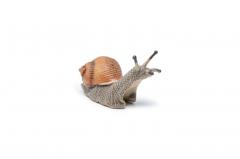Figurina - Wild Animal Kingdom - Snail