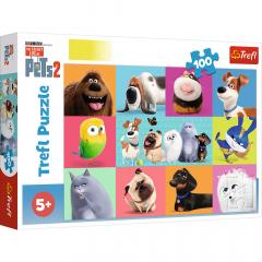 Puzzle 100 piese - Viata secreta a animalelor 2