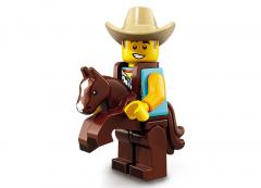 Figurina - Lego Minifigures - Seria 18, 71021