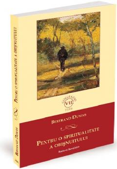 Pentru o spiritualitate a obisnuitului