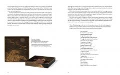 One Hundred Aspects of the Moon