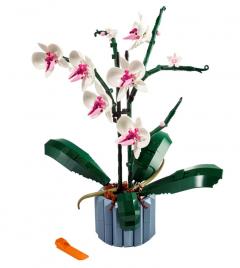 LEGO Botanical Collection - Orhidee (10311)