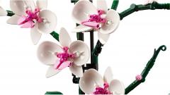 LEGO Botanical Collection - Orhidee (10311)