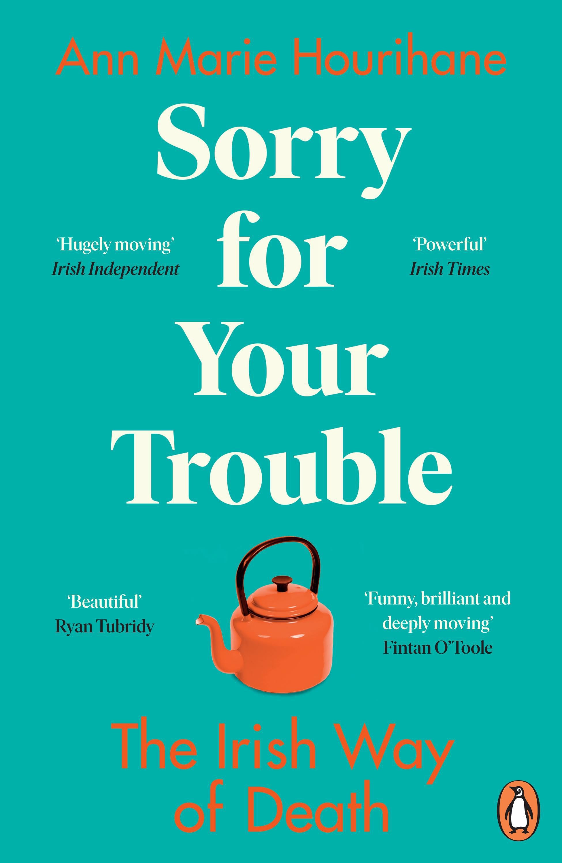 sorry-for-your-trouble-ann-marie-hourihane