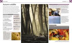 Digital Photography Month by Month