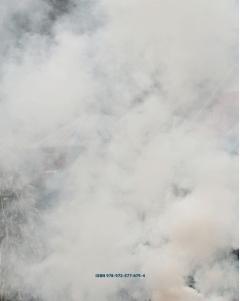 Brave New World / Romanian Migrants' Dream Houses