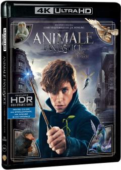 Animale Fantastice si unde le poti gasi 4K UltraHD (Blu Ray Disc) / Fantastic Beast and Wthere to Find Them