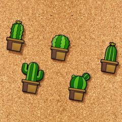 Set 5 pioneze - Cactus