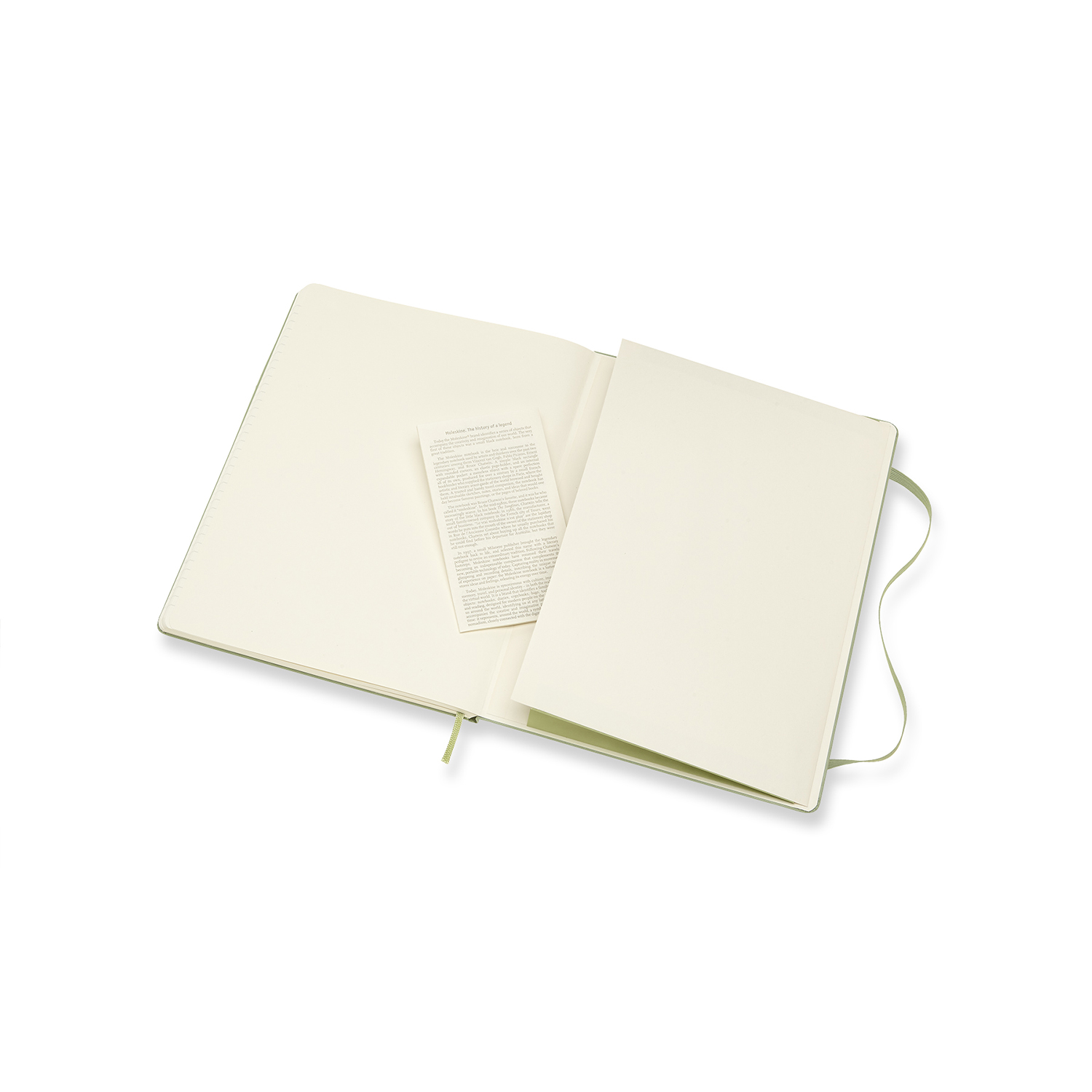 Moleskine Willow Green Extra Large Ruled Notebook Hard Moleskine