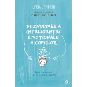 Dezvoltarea inteligentei emotionale a copiilor