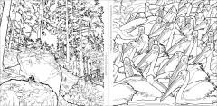 Fantastic Planet: A Coloring Book of Amazing Places Real and Imagined