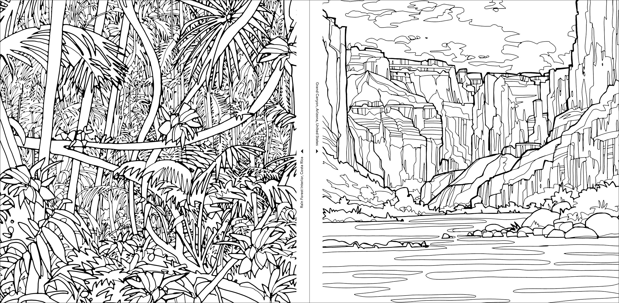 Fantastic Coloring: A Coloring Book of Amazing Places, Creatures, and Collections [Book]