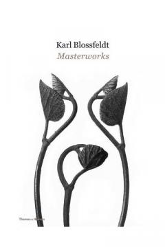 Karl Blossfeldt - Masterworks