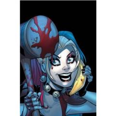 Harley Quinn Vol. 1 